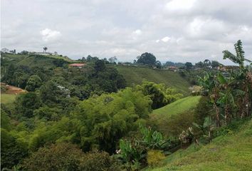 Lote de Terreno en  Centro, Pereira