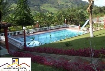 Apartment for rent in Colón, Medellín