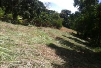 Lotes y Terrenos en  Chilibre Centro, Ciudad De Panamá