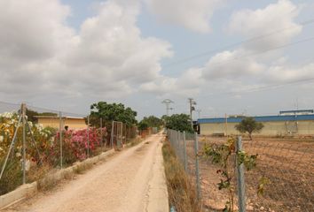 Chalet en  Foios, Valencia/valència Provincia