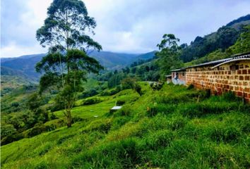 Lote de Terreno en  Yarumal, Antioquia