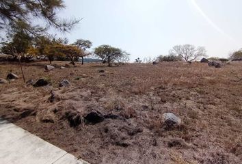 Lote de Terreno en  Rancho O Rancheria Cofradía De Suchitlán, Comala