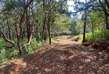 Lote de Terreno en  Calle Espíritu Santo Chiluca, Jilotzingo, México, Mex