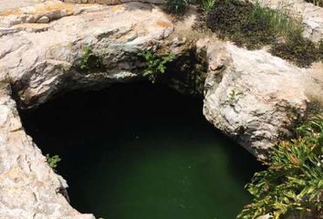 Lote de Terreno en  Chicxulub Pueblo, Yucatán