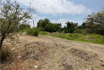 Lote de Terreno en  La Nopalera, Morelos