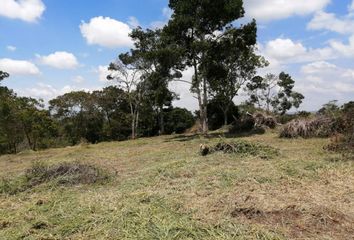 Lote de Terreno en  Las Heliconias De Pance, Pance Cabecera, Cali, Valle Del Cauca, Col