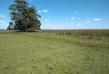 Terrenos en  59w8+jw Cobo, Provincia De Buenos Aires, Argentina