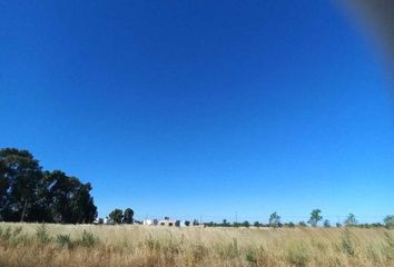 Terrenos en  General Cerri, Partido De Bahía Blanca