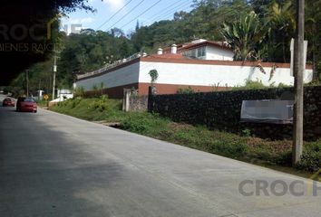 Lote de Terreno en  Plan De La Cruz, Coatepec, Veracruz