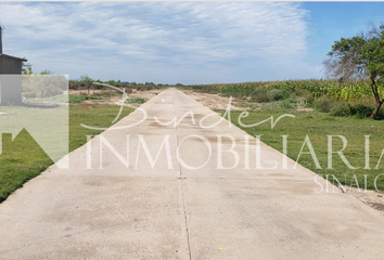 Lote de Terreno en  Calle Mariano Matamoros, Villa De Ahome, Ahome, Sinaloa, 81310, Mex