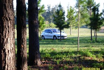 Terrenos en  Corrientes Capital, Corrientes