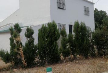 Terreno en  Algodonales, Cádiz Provincia