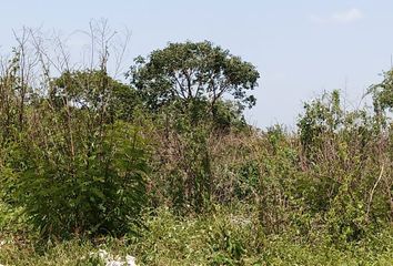 Lote de Terreno en  Temozón Norte, Mérida, Yucatán, Mex