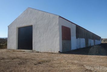 Nave en  Bèlgida, Valencia/valència Provincia