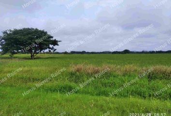 Terreno Comercial en  W4wr+mj Samborondón, Ecuador