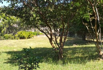 Lote de Terreno en  Fraccionamiento Flores Magón, Cuernavaca, Morelos