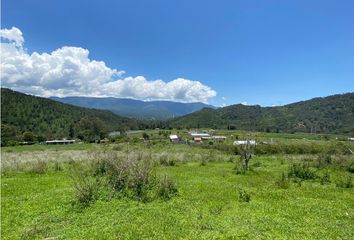 Lote de Terreno en  Valle De Bravo, Valle De Bravo