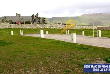 Lote de Terreno en  Murgia, Ensenada