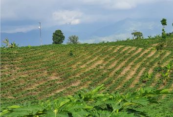 Villa-Quinta en  La Tebaida, Quindío