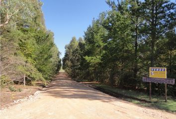 Terrenos en  Otro, Partido De Tres Arroyos