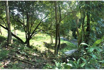 Lotes y Terrenos en  Clayton, Ciudad De Panamá