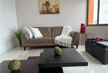 Apartamento en  Parque Lefevre, Ciudad De Panamá