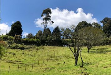 Apartamento en  Guarne, Antioquia