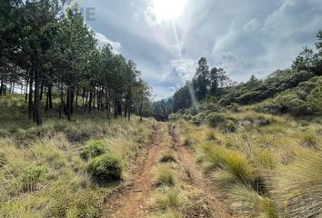 Lote de Terreno en  Las Vigas De Ramírez, Veracruz