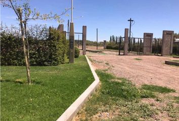 Terrenos en  Junín, Mendoza