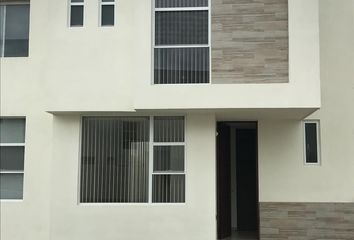 27 casas en renta en Pozos Residencial, San Luis Potosí 