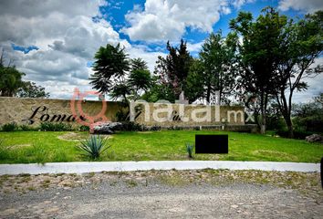 Lote de Terreno en  Jardindes De La Victoria, Silao