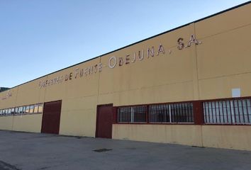 Nave en  Fuente Obejuna, Córdoba Provincia