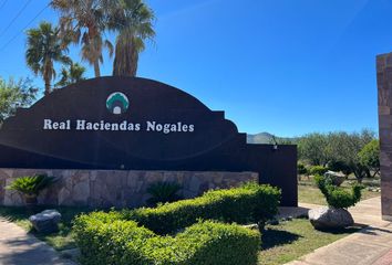 Lote de Terreno en  Nogales Centro, Heroica Nogales, Nogales