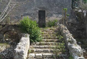 Rancho en  Sotuta, Yucatán, Mex