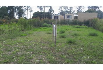 Lote de Terreno en  Rionegro Antioquía