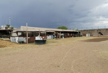 Lote de Terreno en  Calle Mariano Abasolo Norte 200, Calera Centro, Calera, Zacatecas, 98500, Mex