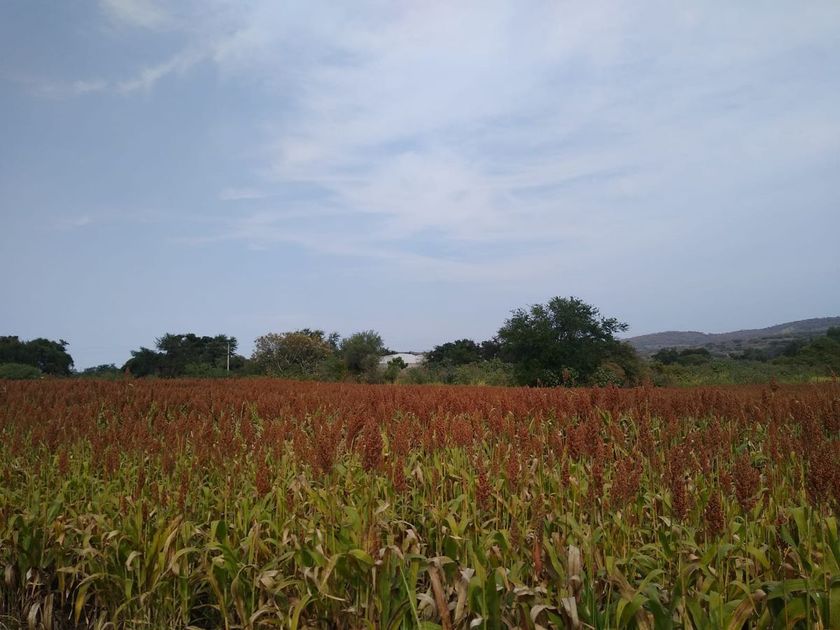 venta Lote de Terreno en Atoyac, Jalisco, Jalisco (EB-JC4680s)