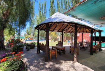 Quinta/Finca en  Maipú, Mendoza