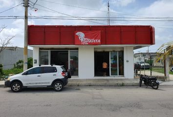 Local comercial en  San Gervasio, Cozumel