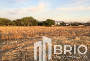 Lote de Terreno en  El Renacimiento, Nombre De Dios