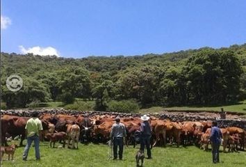 Rancho en  Carretera, Macavaca, Villa Del Carbón, México, 54324, Mex