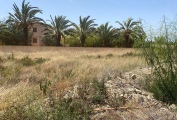 Terreno en  Elx/elche, Alicante Provincia