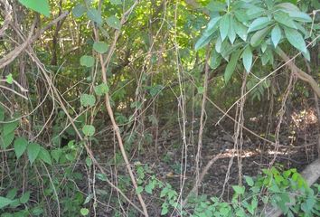 Lote de Terreno en  Playa Del Carmen, Quintana Roo