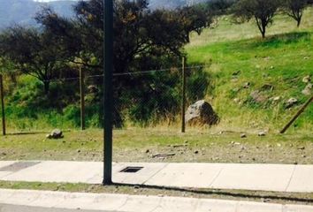 Parcela en  Colina, Chacabuco