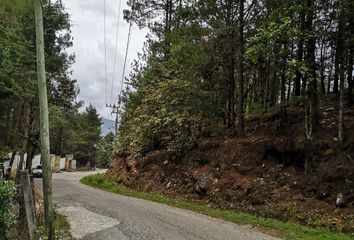 Lote de Terreno en  Los Alcanfores, San Cristóbal De Las Casas