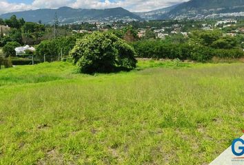 Terreno Comercial en  Cumbayá, Quito