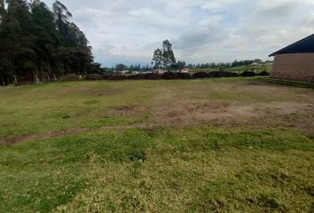 Terreno Comercial en  Pifo, Quito