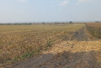 Lote de Terreno en  Industrial Guerrero, Altamira