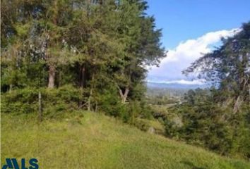 Lote de Terreno en  Rionegro Antioquía