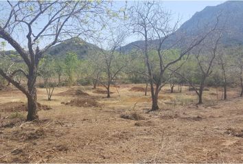 Lote de Terreno en  Ciudad Ciudad Allende, Allende, Nuevo León